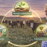 Aldo Vendramin analisa a pecuária de elite no século XXI com foco em inovação e manejo sustentável.