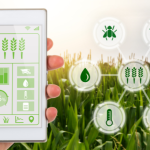 João Eustáquio De Almeida Junior destaca a importância de garantir produtividade agrícola hoje sem comprometer o futuro.