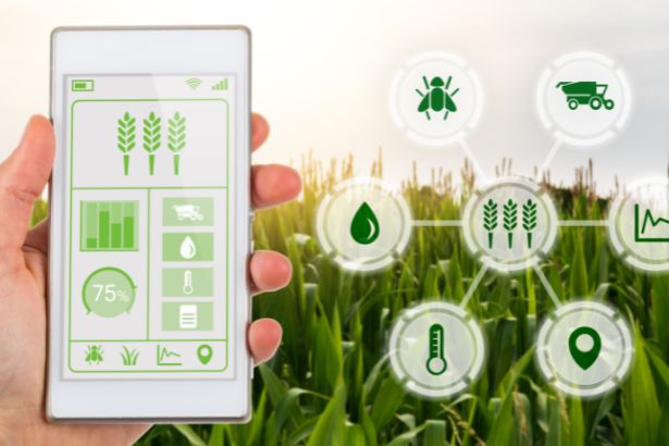 João Eustáquio De Almeida Junior destaca a importância de garantir produtividade agrícola hoje sem comprometer o futuro.