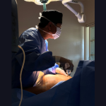 Milton Seigi Hayashi