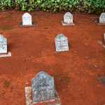 A profissionalização das funerárias para animais eleva padrões operacionais e fortalece a confiança das famílias, afirma Tiago Schietti.