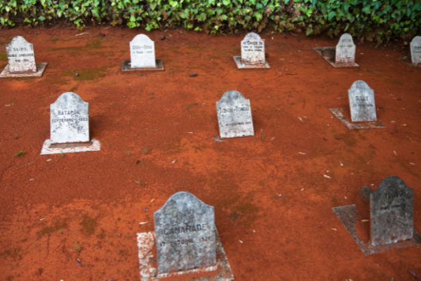 A profissionalização das funerárias para animais eleva padrões operacionais e fortalece a confiança das famílias, afirma Tiago Schietti.