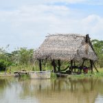Casa ribeirinha junto a um rio, cercada pela vegetação da Amazônia