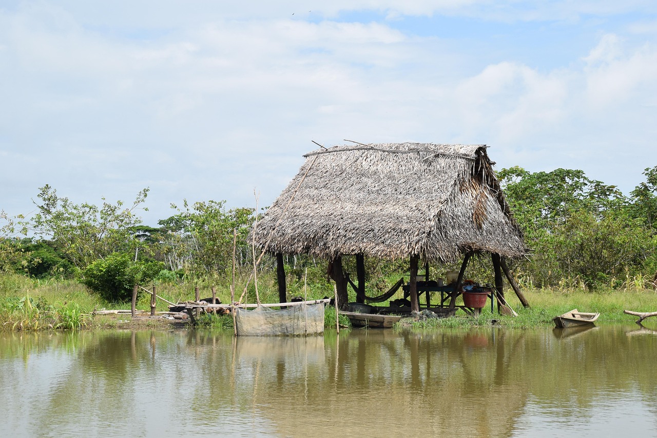 Casa ribeirinha junto a um rio, cercada pela vegetação da Amazônia